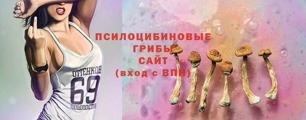 кокс Бородино