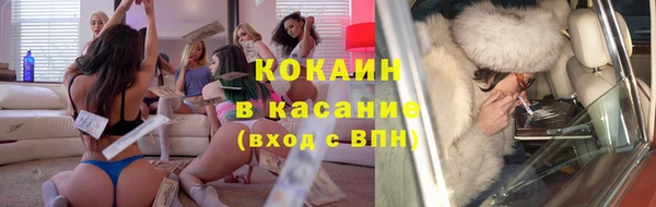 прущие грибы Бронницы