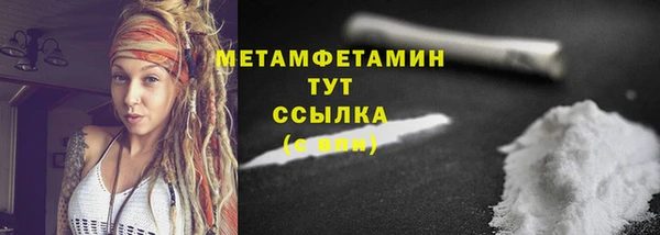 прущие грибы Бронницы