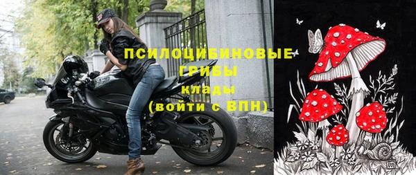 прущие грибы Бронницы