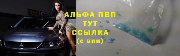 кокс Бородино