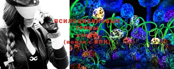 прущие грибы Бронницы