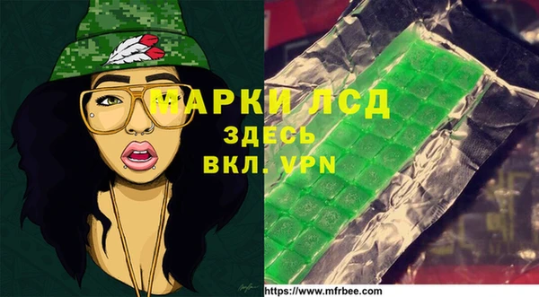 прущие грибы Бронницы