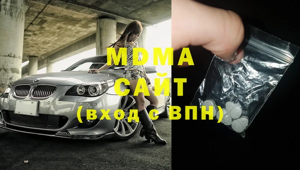 прущие грибы Бронницы
