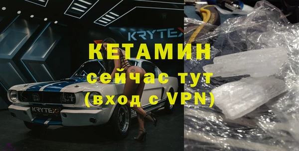 прущие грибы Бронницы