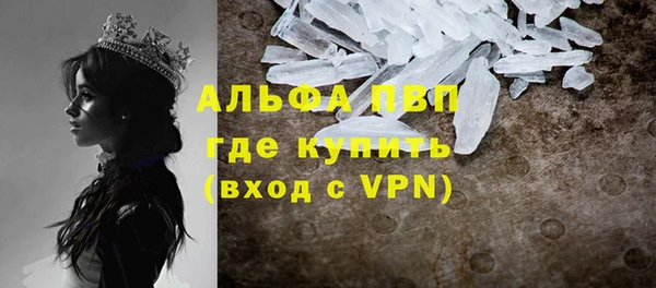 прущие грибы Бронницы