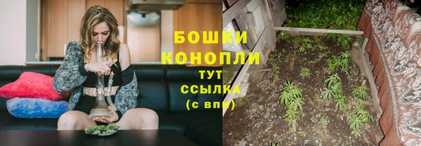 кокс Бородино